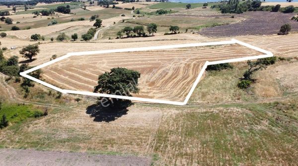 Balıkesir Gönen Yeniakçapınar Köyümüz'de Gönen Manzaralı Tarlamız Satışta