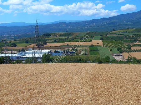 Roma' Dan Şehitler Köyünde Çok Güzel Konumlu Tarla