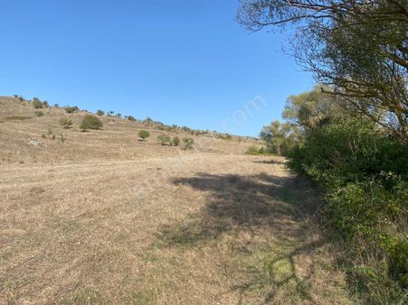 Karabeyler'de Asfalt Yola 170 M Mesafede Satılık 4543 M2 Tarla