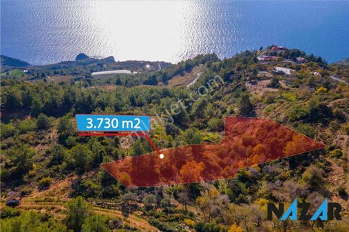 Gazipaşa Zeytinadada Deniz Manzaralı Satılık 3.730 M2 Tarla