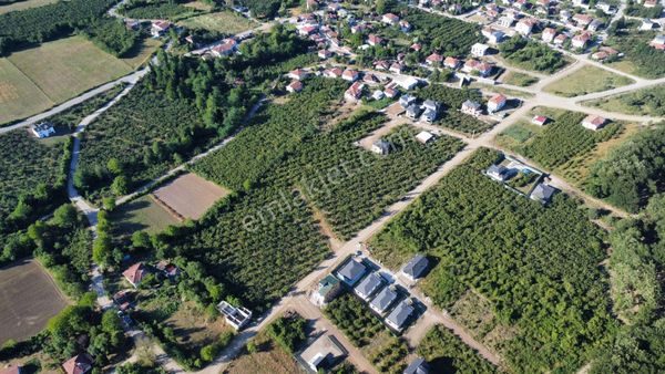 Remax Palas'tan Cumayeri Orta Mahallede Satılık Parsel