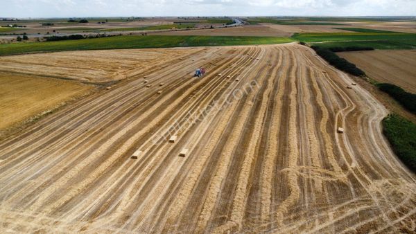 Tekirdağ Muratlı'da 33 Dönüm Satılık Tarla Han Emlak'tan