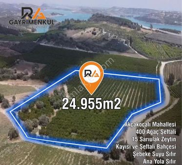 Ra Gayrimenkul Akçakocalı Köyü 8000m Şeftali Bahçesi