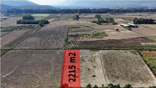 Gökova Akçapınarda Satılık 2215 M² Arazi