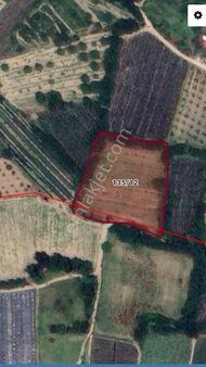 Roma' Dan Kurşunlu' Da Satılık Kadastro Yolu Olan Tarla