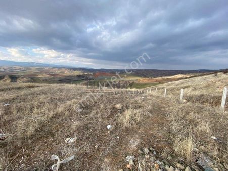 Güvenay - Çorum Serpin Köyü İlerisi Taksitli Hobi Bahçesi