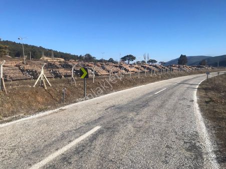 Kütahya Altıntaş Saraycık