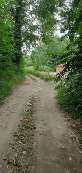 Sakarya Karapürçek Meşepınarı Köyünde 4,800m2 Satılık Tarla