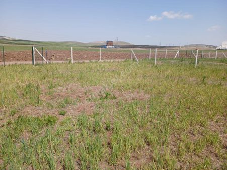 Adalı Gayrimenkul'den Gölbaşı Ahibozda Satılık 300 M2 Hobi Bahçesi