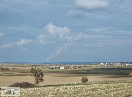 Çanakkale Han Emlak Otomotivden Tevfikiye Köyünde 6572 M2 Tarla