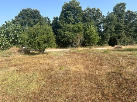 Kocaeli Karamürsel Akçat Mahallesi Satılık 4974 M2 Bahçe