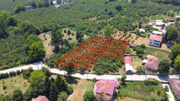 Çilimli Söğütlü Mh.de Villa Yapımına Uygun Satılık Parseller