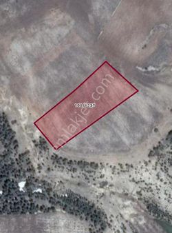 Aslan'dan Hacıalanı Yaylasında 4804 M2 Ev Yapımına Uygun Arsa