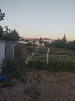 Kırıkkale Hacılarda Satılık Bahçeler