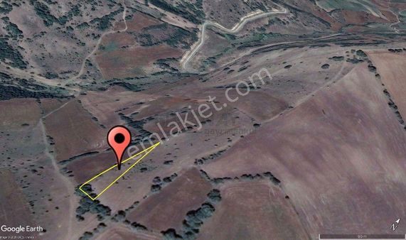 Güvenay - Çorum Ertuğrul Köyü 1,289 M² Tarla