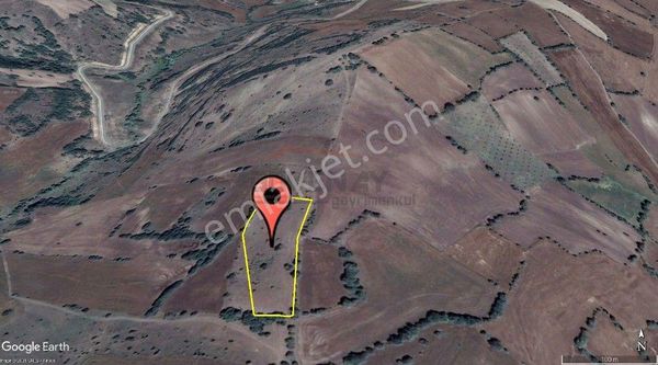 Güvenay - Çorum Ertuğrul Köyü Ve Gökdere Köyü Arası 6,572 M² Tarla