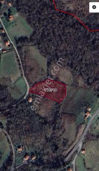 Zonguldak Çaycumada 5918 M2 Arsa Fındık Bahçesi Satılık