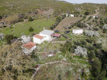 003-organik Sertifikalı Çiftlik