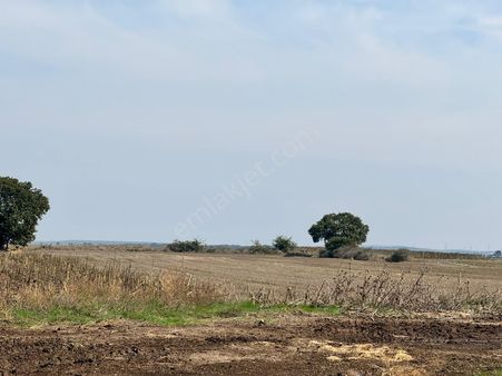 Tekirdağ Saray Yuvalı Bölgesi Sarayyolu Üstü Yatırımlık Satılık Tarla !!!!!