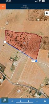 7 Kardeş Emlak'tan Sancak Ta Emsalsiz Arsa