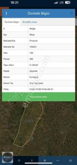 Milas Pinarcikta Yola Cepeli Düm Düz Kaçmaz Fırsat