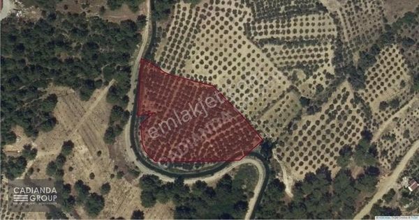 Seydikemer Ceylan Da Satılık Arazi