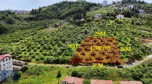 Kireçhane'de Merkeze 5 Dk Mesafede Eğimsiz Villalık 1200 M2 Arsa