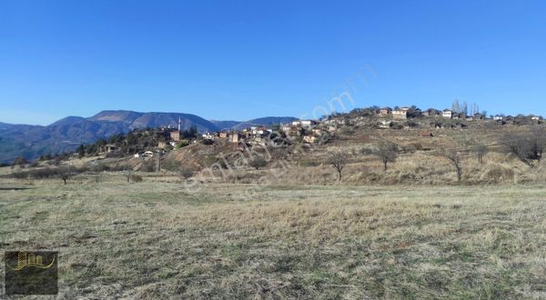 Nallıhan Arsa Yerleşime Yakın Satılık Arsa Tek Tapu Araç Takaslı