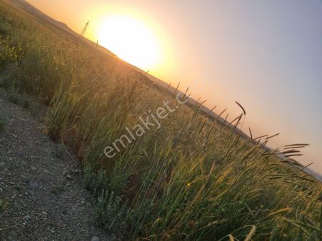 Ahmetçayırı 273 M² Su - Tel - Yol Mevcut Lansmana Özel Fırsat