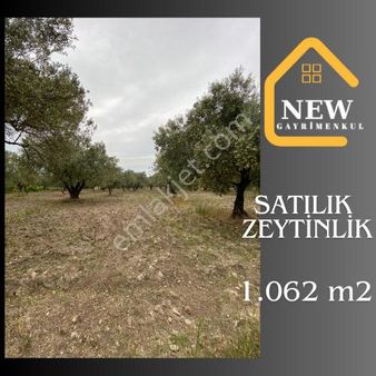 New Gayrimenkul 'den Kırkağaç Alay Karşısında 1.062 M2 Hobi Bahçesi