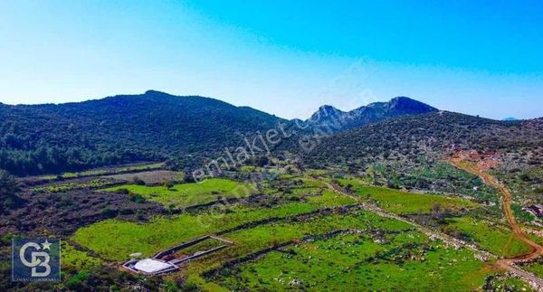 Cb Uzman'dan Söğüt Köyünde Yola Cepheli 415 M2 Arazi