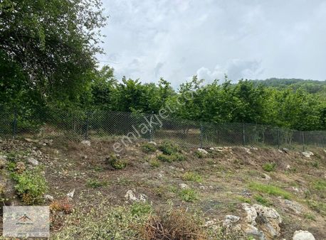 Doğası Ve Harika Manzarası İle Satılık Fındık Bahcesi