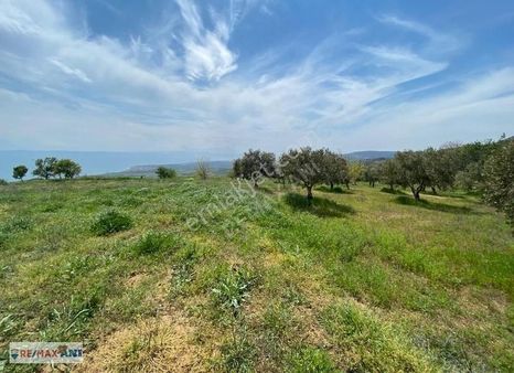 Remax Anı 'dan Tekirdağ Şarköy 'de 5144 M2 Satılık Tarla