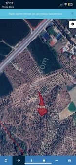 Belevi Yoluna 5 Dk Kadastral Yolu Olan 2.269 M² Satılık Zeytinlik