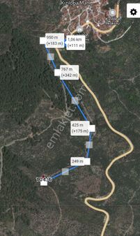 Doğa Gayrimenkul'den İzmir'de Acil Satılık Zeytinlik