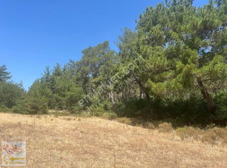 İzmir Menderes Deli Ömer Köyünde Satılık 600m2 Hisse Tapu Bahçe