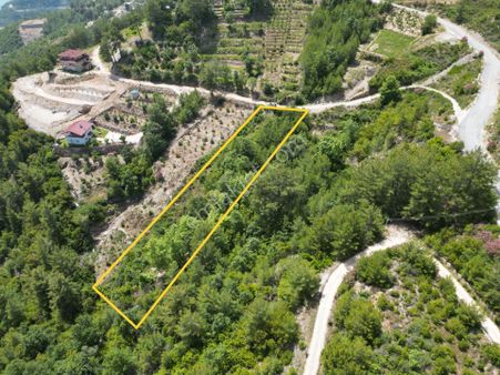 Alanya Üzümlü Köyünde Satılık 2370 M2 Tarla