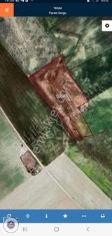 Eskişehir Çifteler Yıldızören 15.141 M2 Ekilir, Biçilir Tarla