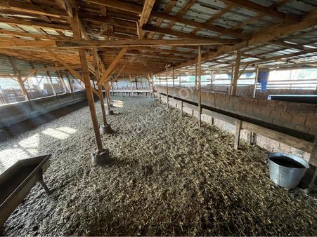 Satılık Çantaköy