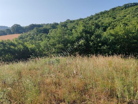 2.786 M2 Yatırımlık Tarla Bağ-bahçe Resmi Kadastro Yolu Yoktur.