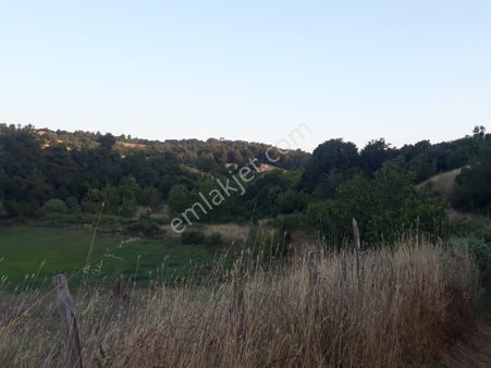 Taştepe Köyünde 3.153m2 Satılık Kiraz Bahçesi