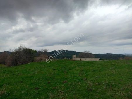 Taştepe Köyünde 5400m2 Satılık Tarla