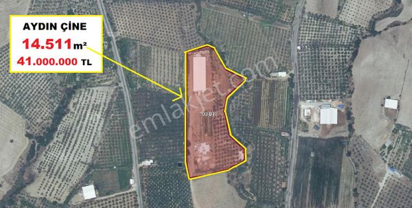 Aydın Çine Karahayıt 14.511 M2 Fırsat Arazi