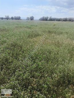 Arslan Emlaktan Satılık Tarla