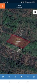 Bursa Osmangazi Gündoğdu Satılık Zeytinlik