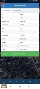Muğla Milas Demirciler De Satılık Zeytinli Tarla