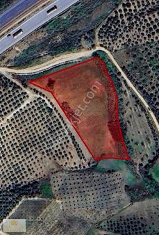 Kolezyum Dan Akdeniz Iğdırda Satılık Arsa