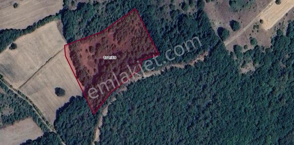 Bursa Mustafakemalpaşa Yenice Mah. Kaçırılmayacak Fırsatta Satırlık Tarla