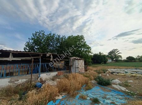 Nursima Emlak'tan Satılık Çiftlik Tire'ye 4 Km