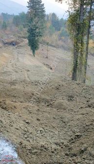 Geyve İlimbey Mah 8754 M2 Satılık Arsa